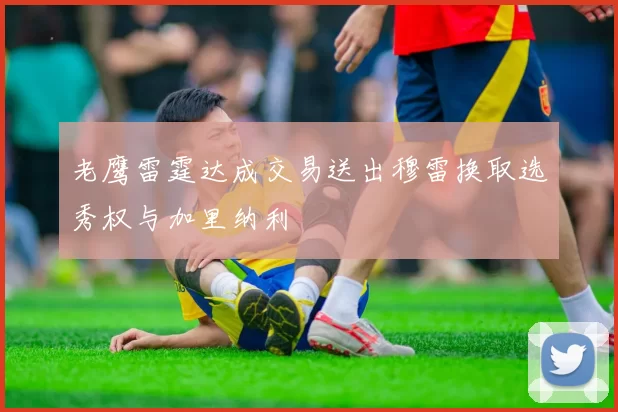 老鹰雷霆达成交易送出穆雷换取选秀权与加里纳利