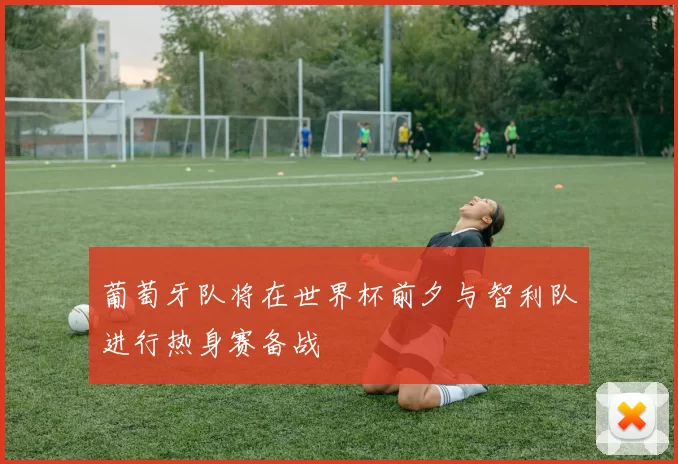 葡萄牙队将在世界杯前夕与智利队进行热身赛备战