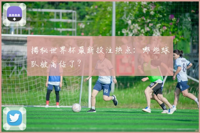 揭秘世界杯最新投注热点:哪些球队被高估了?