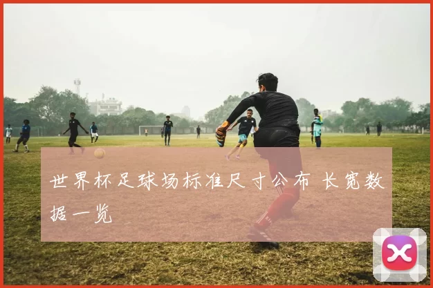 世界杯足球场标准尺寸公布 长宽数据一览