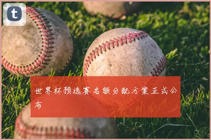 世界杯预选赛名额分配方案正式公布