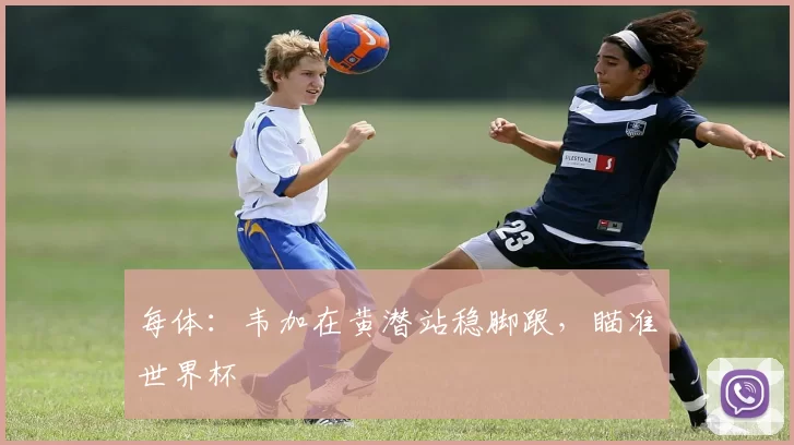 每体:韦加在黄潜站稳脚跟,瞄准世界杯