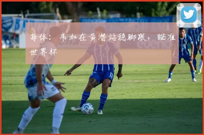 每体:韦加在黄潜站稳脚跟,瞄准世界杯
