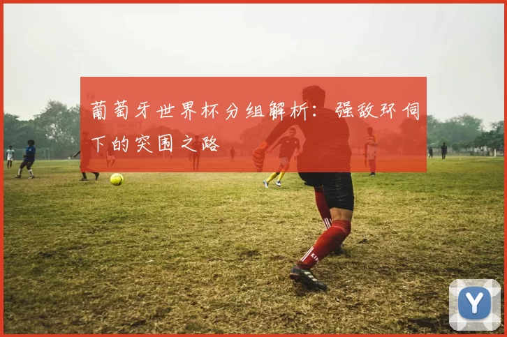 葡萄牙世界杯分组解析:强敌环伺下的突围之路