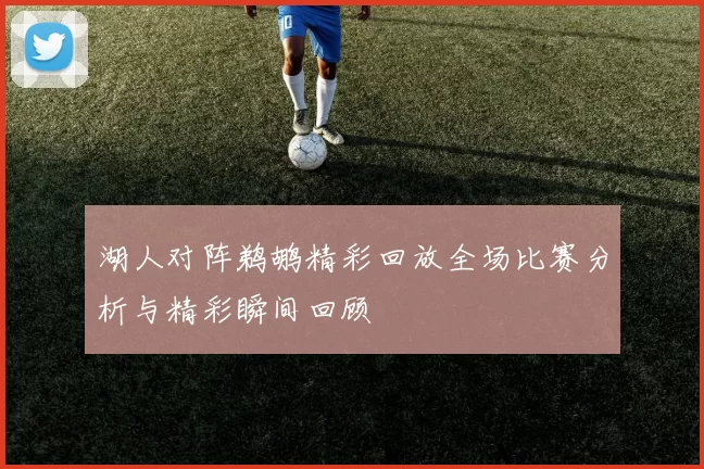 湖人对阵鹈鹕精彩回放全场比赛分析与精彩瞬间回顾