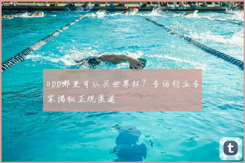 app哪里可以买世界杯?专访行业专家揭秘正规渠道
