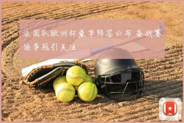 法国队欧洲杯豪华阵容公布 备战赛场争冠引关注