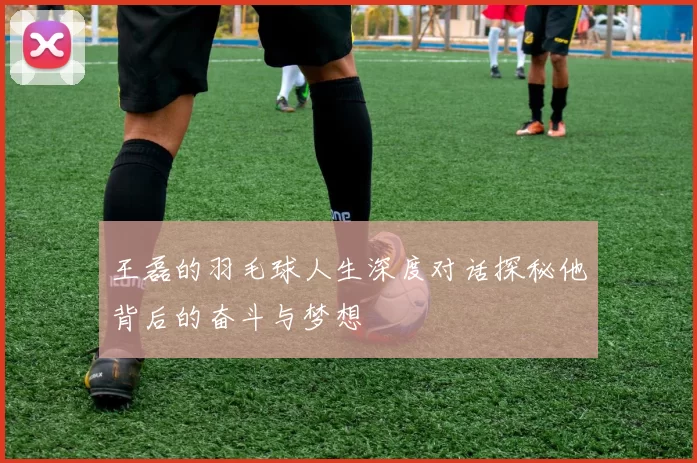 王磊的羽毛球人生深度对话探秘他背后的奋斗与梦想