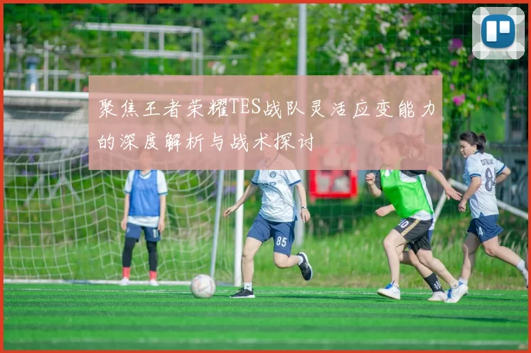 聚焦王者荣耀TES战队灵活应变能力的深度解析与战术探讨