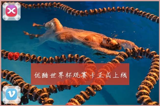 优酷世界杯观赛卡正式上线