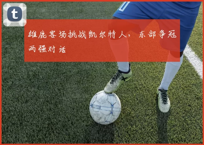 雄鹿客场挑战凯尔特人，东部争冠两强对话