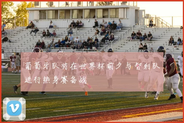 葡萄牙队将在世界杯前夕与智利队进行热身赛备战