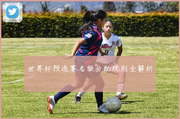 世界杯预选赛名额分配规则全解析