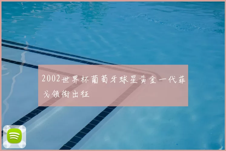 2002世界杯葡萄牙球星黄金一代菲戈领衔出征