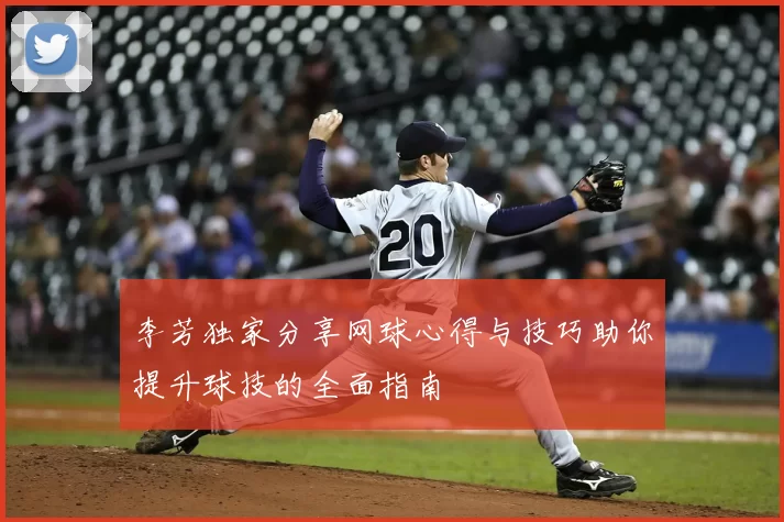 李芳独家分享网球心得与技巧助你提升球技的全面指南