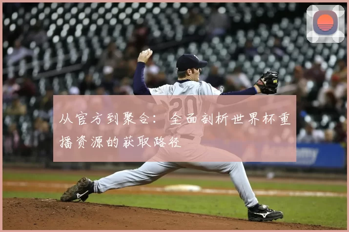 从官方到聚合:全面剖析世界杯重播资源的获取路径
