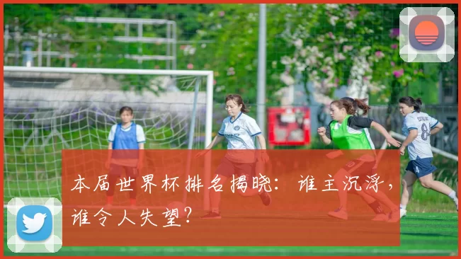 本届世界杯排名揭晓:谁主沉浮,谁令人失望?
