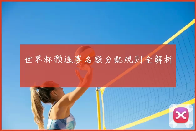 世界杯预选赛名额分配规则全解析