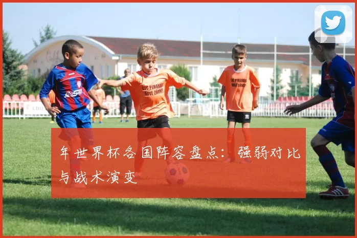 年世界杯各国阵容盘点:强弱对比与战术演变