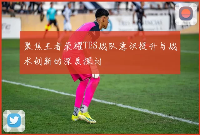 聚焦王者荣耀TES战队意识提升与战术创新的深度探讨